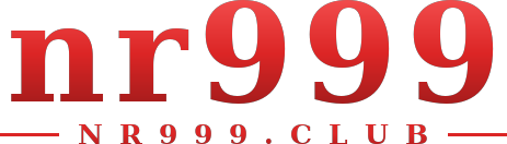nr999 logo